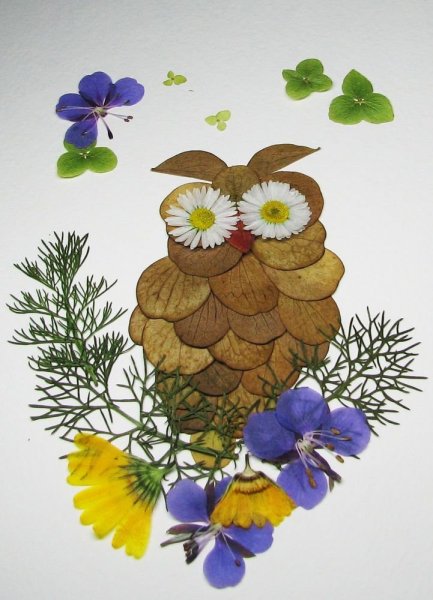 Аппликация из природного материала