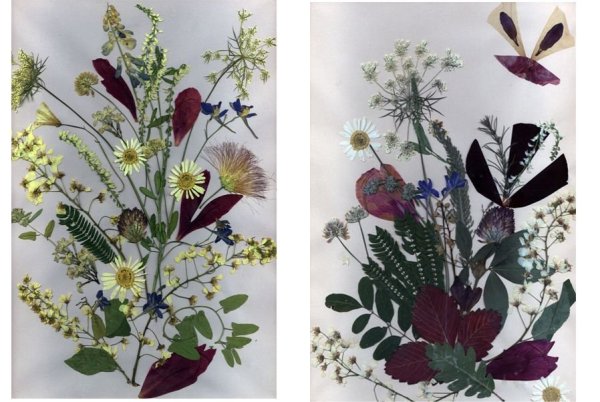 Букет «гербарий»