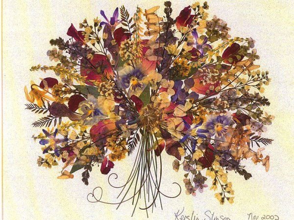 Гербарий композиции из засушенных растений