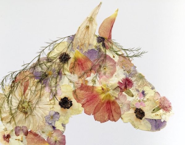 Японская техника ошибана картины