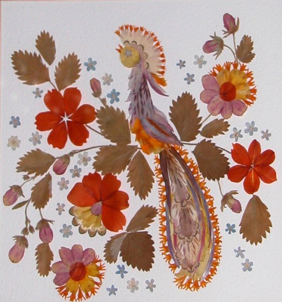 Аппликация из засушенных цветов