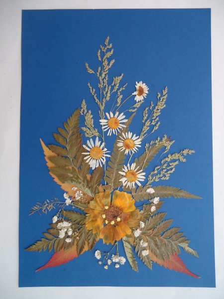 Композиции из засушенных цветов и листьев