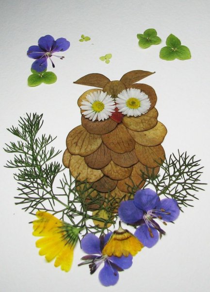 Аппликации BP ghbhjlyjuj vfnthbfkf