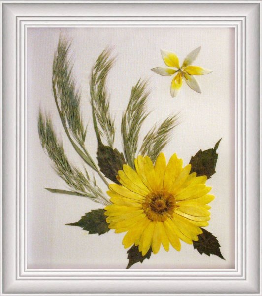 Композиция из гербария