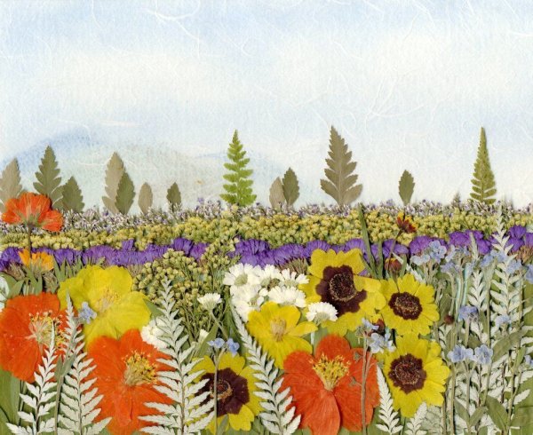 Панно из засушенных растений