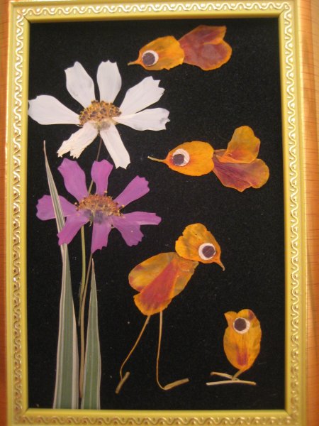 Ошибана прессованная флористика