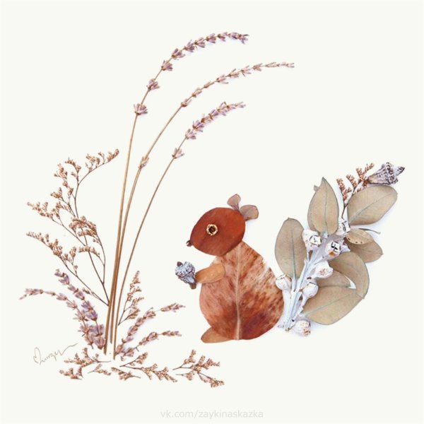 Аппликация из сухоцветов