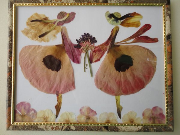 Картины из природного материала