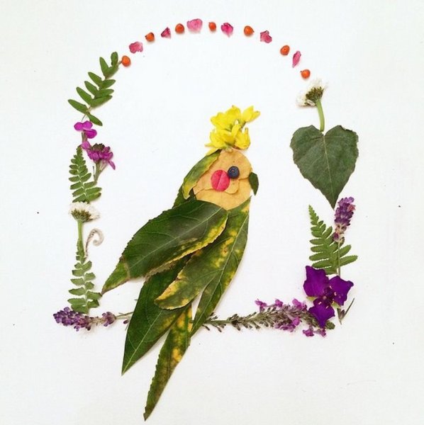 Композиция из гербария