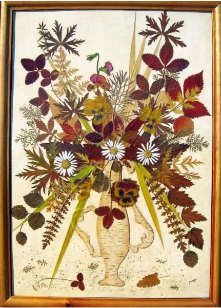 Гербарий композиции из засушенных растений