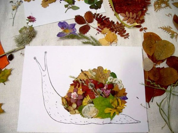 Аппликации из гербария сухих листьев