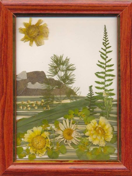 Японская техника ошибана картины из растений