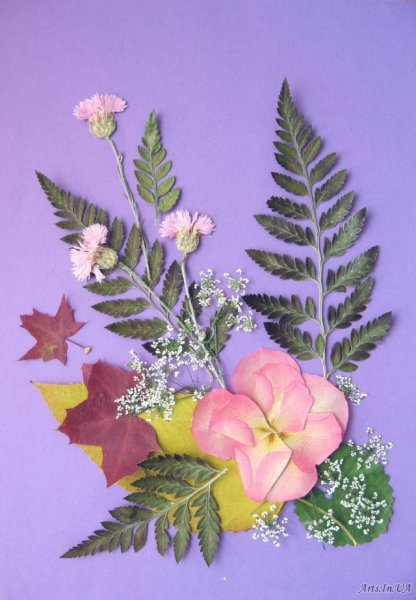 Композиция из сухих листьев