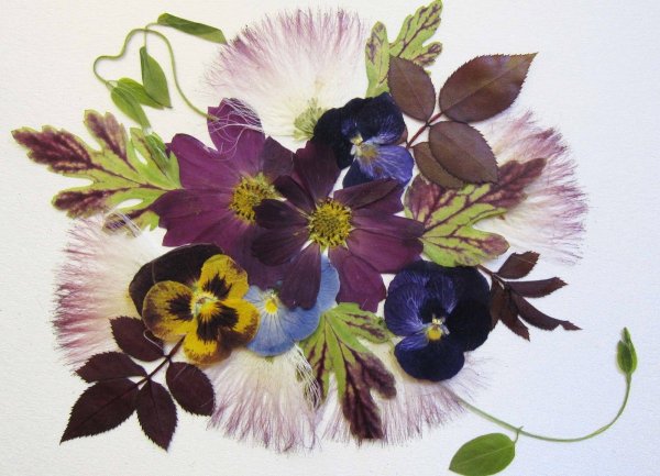 Искусство ошибана