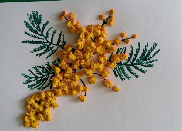 Ниткография веточка мимозы
