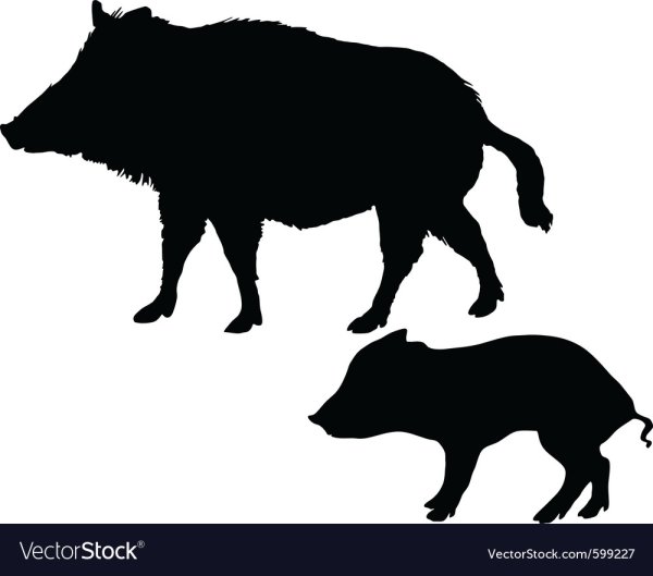 Силуэт дикого кабана