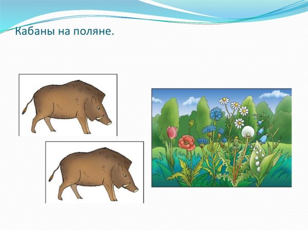 Кабан задания для дошкольников