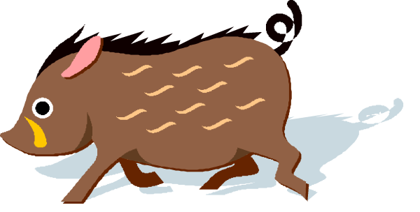 Кабан рисунок