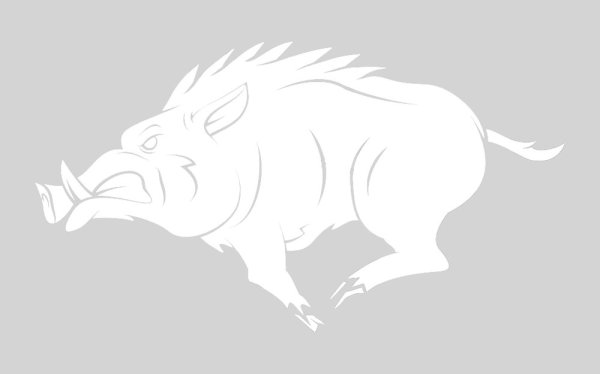 Трафарет кабана