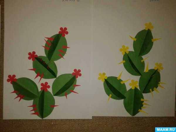 Аппликация комнатные цветы в старшей группе