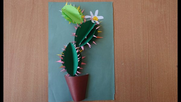 Поделка Кактус