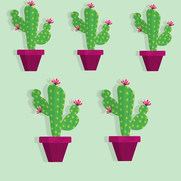 Объемная аппликация комнатные растения