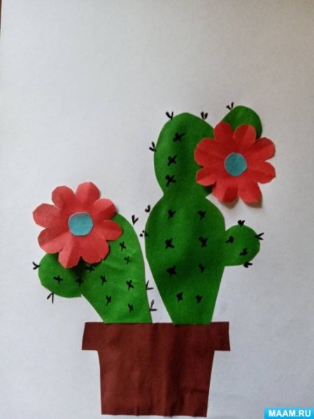 Аппликация Кактус в старшей группе