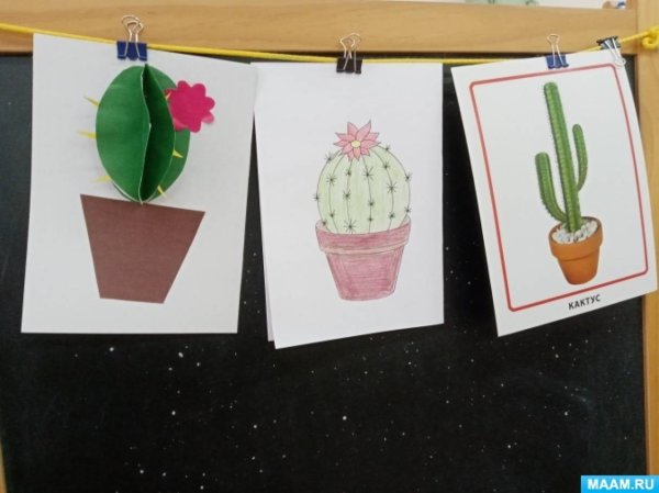 Аппликация комнатные цветы в старшей группе