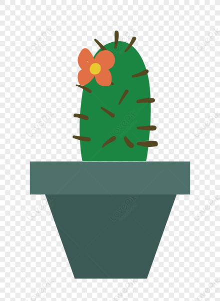 Аппликация в старшей группе комнатные растения Кактус