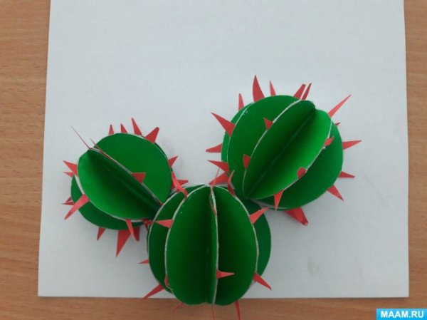 Аппликация Кактус