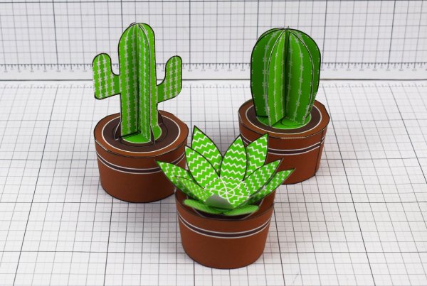Кактус объемный