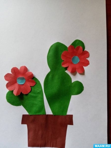 Аппликация комнатные растения старшая группа