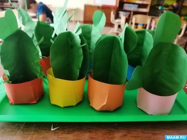 Конструирование Кактус