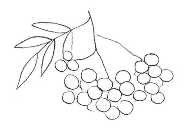 Пластилинография гроздь рябины