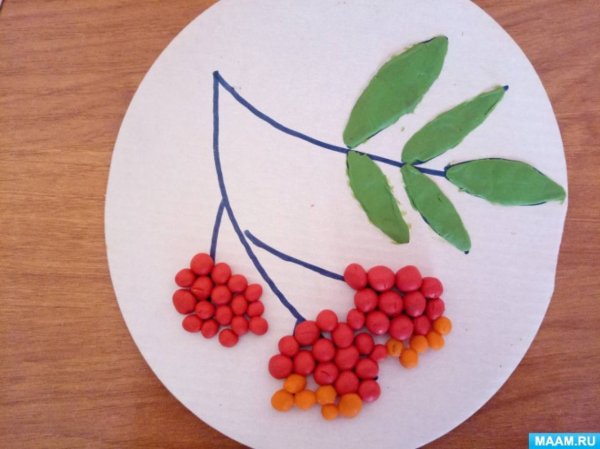 Пластилинография ветка рябины старшая группа