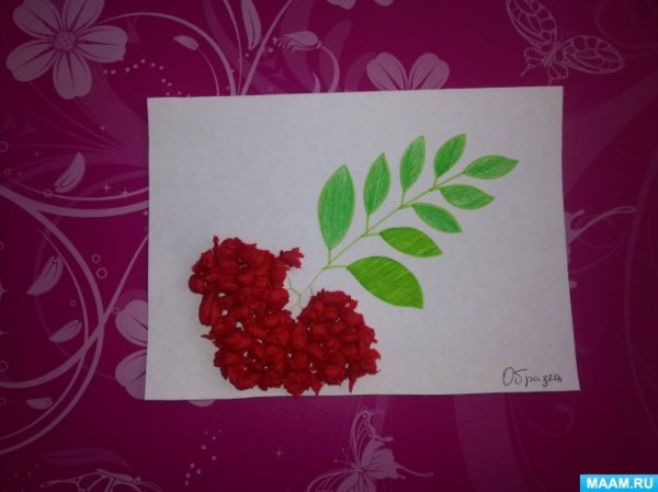 Аппликация ягоды в средней группе