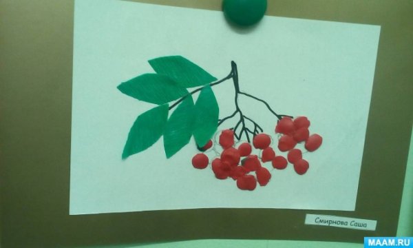 Пластилинография ветка рябины в средней группе