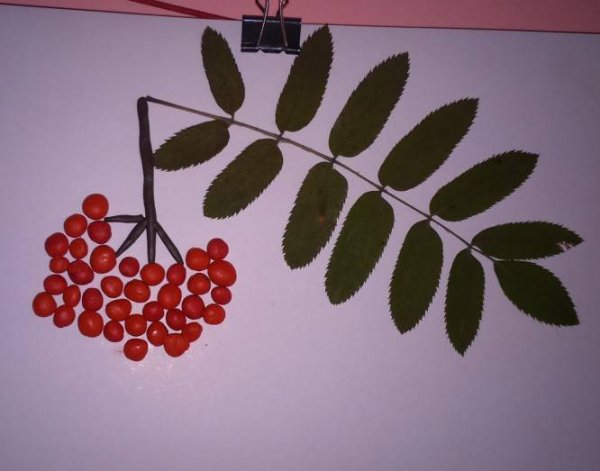 Пластилинография гроздь рябины