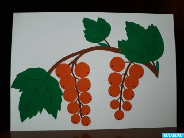 Занятие в средней группе аппликация гроздь рябины