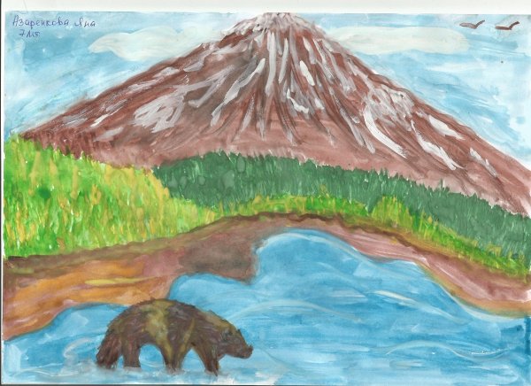 Камчатка рисунок