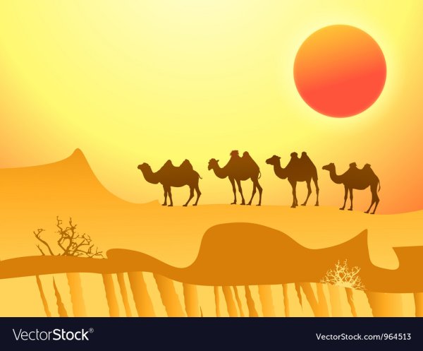 Верблюд в пустыне рисунок