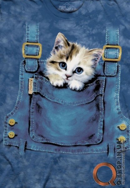 Кот в джинсах