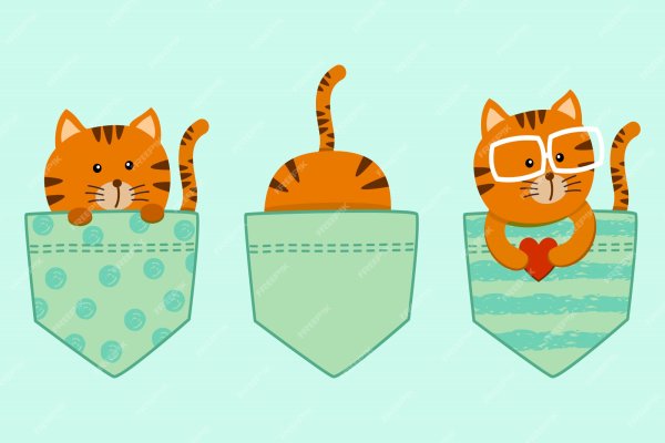 Аппликация кот в кармане