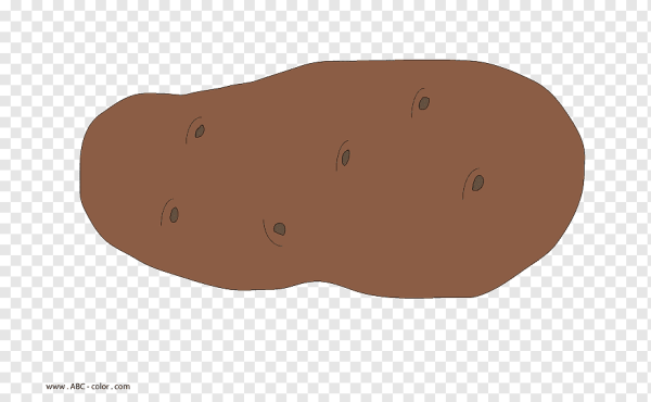 Картошка рисунок