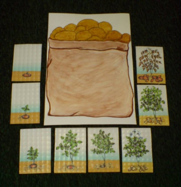 Рисование продукты старшая группа