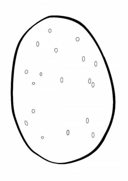 Картошка раскраска для детей