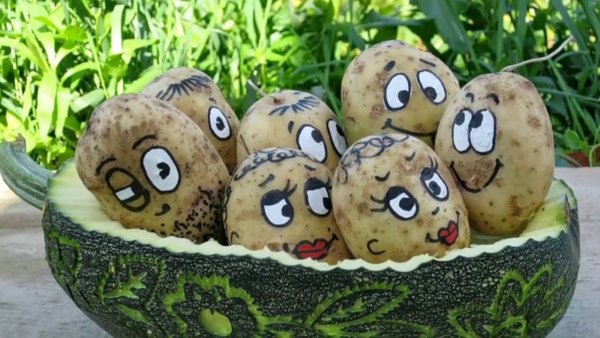Поделки из картошки и кабачка