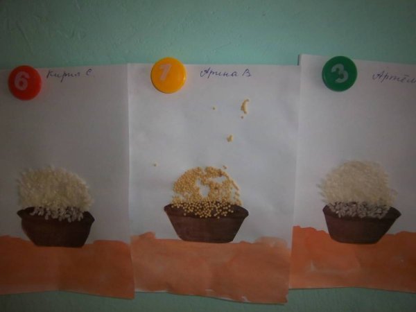 Проект крупы в средней группе