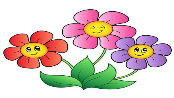 Цветочки рамашка для садика