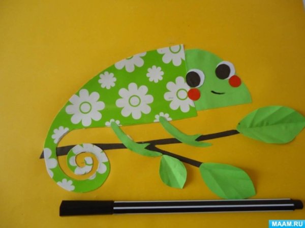 Аппликация хамелеон своими руками пошаговая
